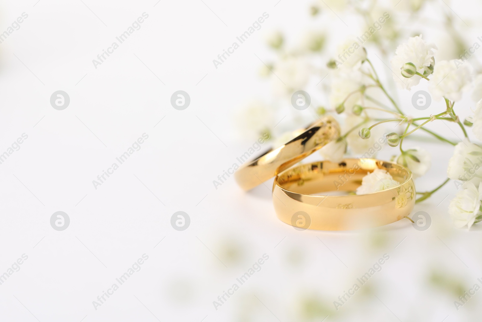 Photo of Golden wedding rings and flowers on white background, closeup. Space for text