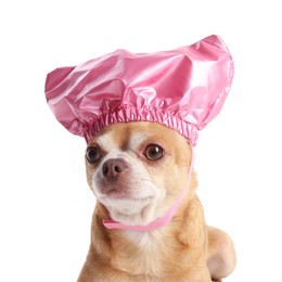 Photo of Cute funny dog in pink shower cap on white background