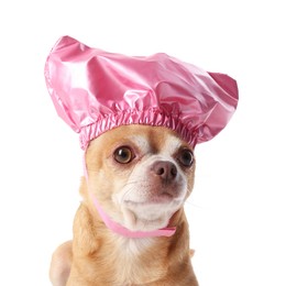 Photo of Cute funny dog in pink shower cap on white background