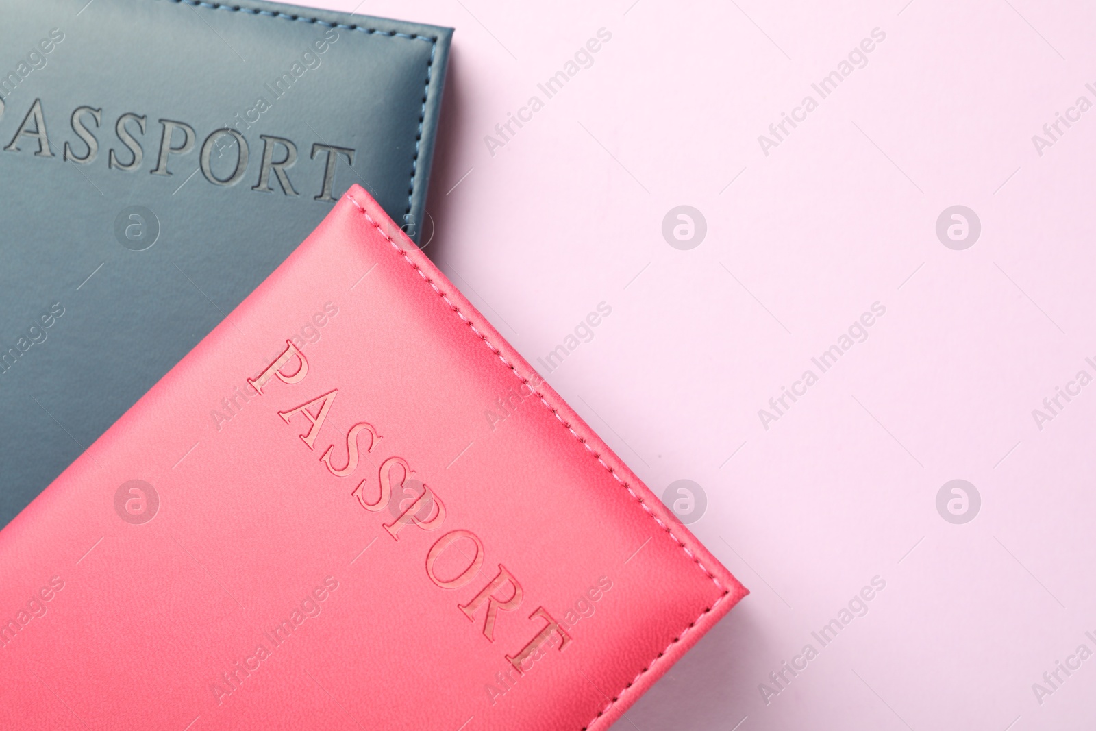 Photo of Passports in color covers on pink background, top view. Space for text