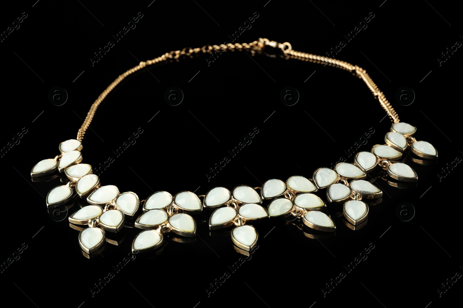 Photo of Beautiful bijouterie. Elegant necklace on black background