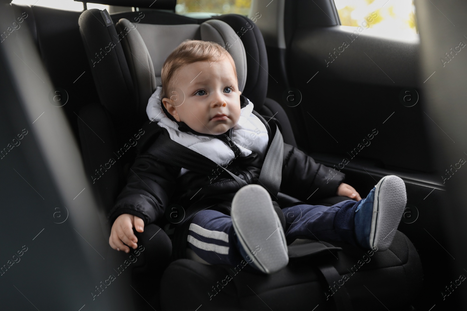 Photo of Cute little baby sitting in car seat