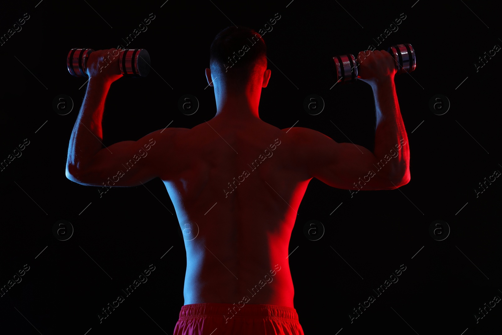 Photo of Man exercising with dumbbells in red light on black background, back view