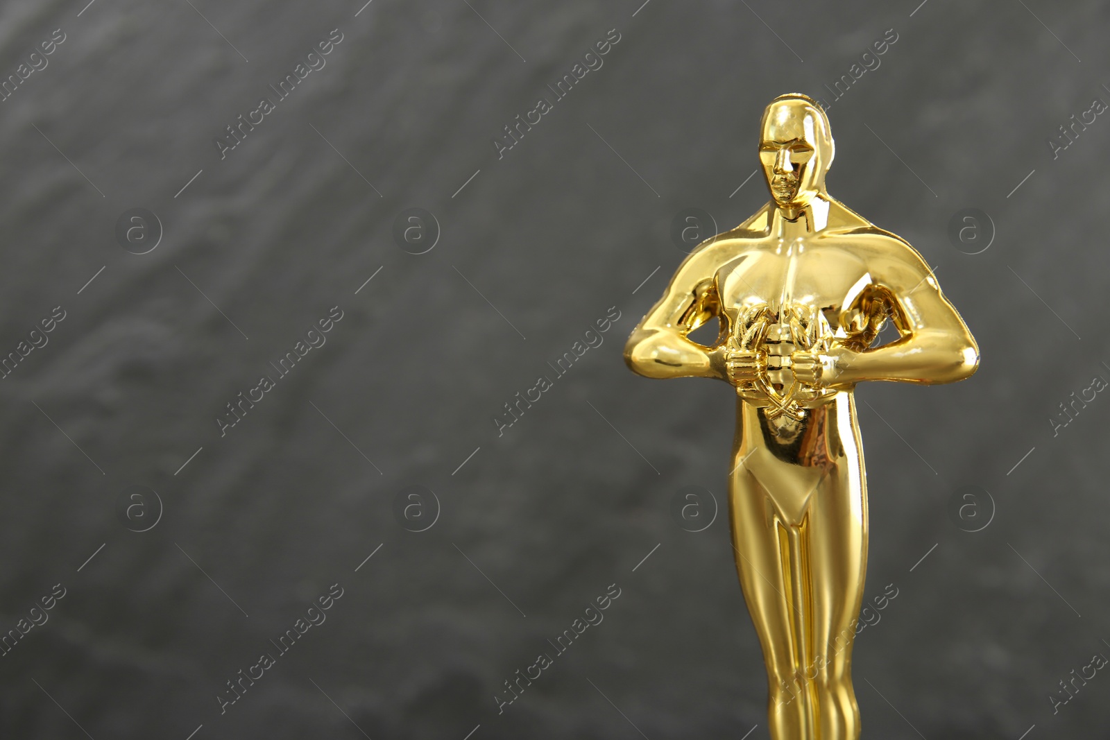 Photo of Golden trophy in shape of human figure against blurred gray background, space for text