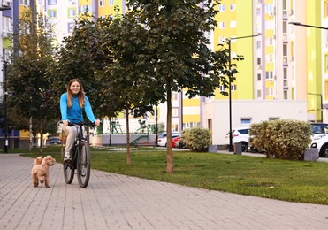 Photo of Smiling woman riding bicycle and cute Toy Poodle dog running after her outdoors