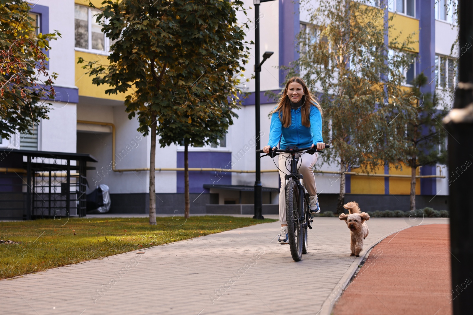 Photo of Smiling woman riding bicycle and cute Toy Poodle dog running after her outdoors