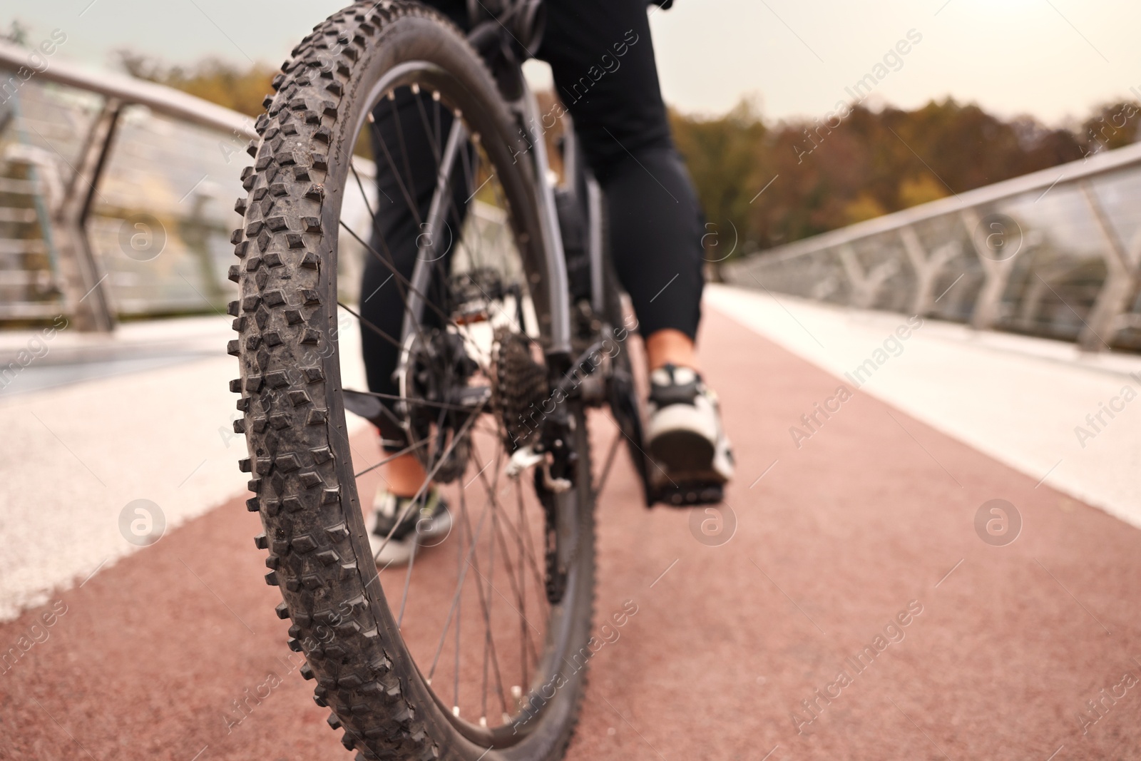 Photo of Man with bicycle outdoors, closeup. Healthy lifestyle