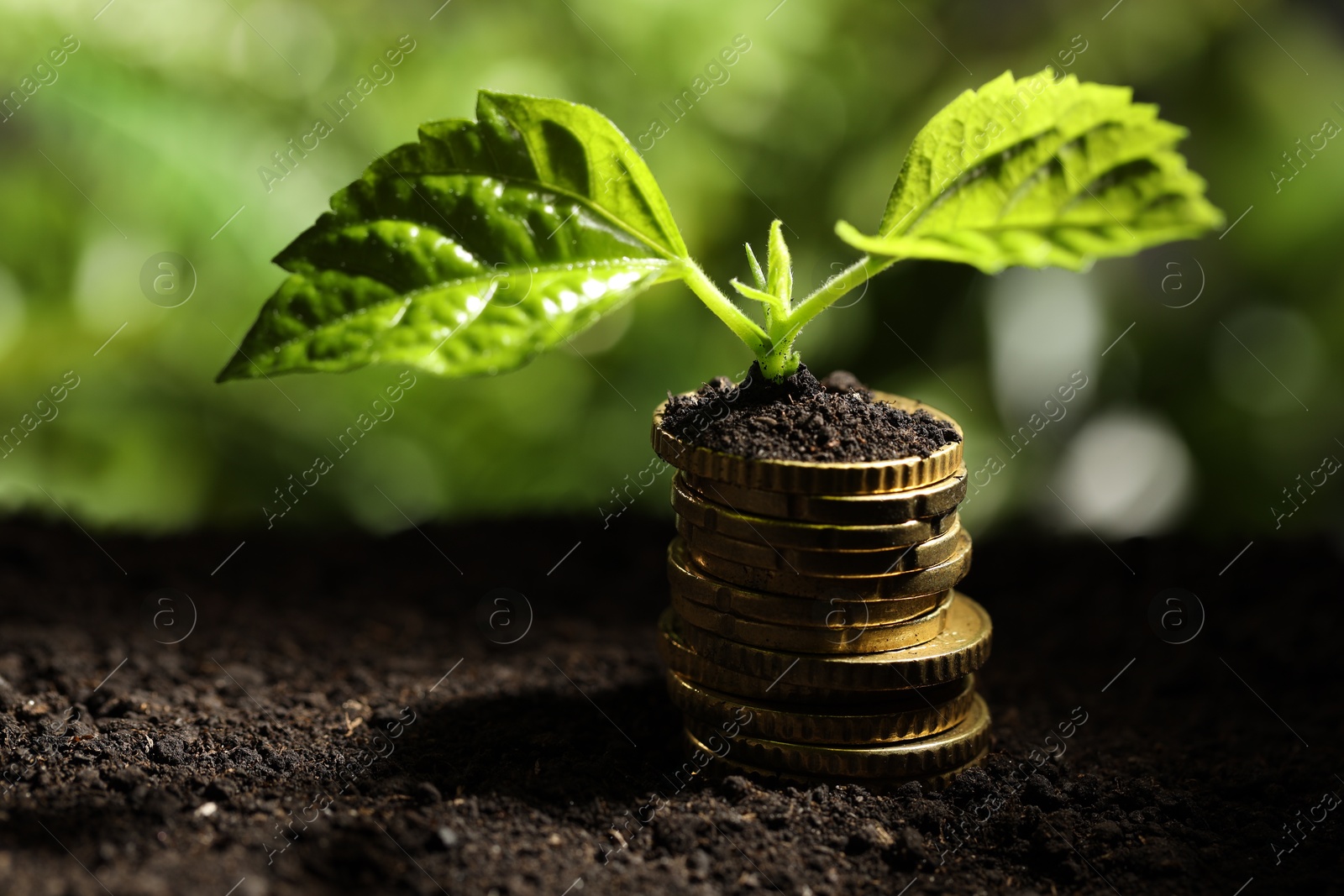 Photo of Money growth concept. Stack of coins and sprout in soil against blurred background, closeup