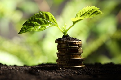 Photo of Money growth concept. Stack of coins and sprout in soil against blurred background, closeup