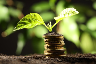 Photo of Money growth concept. Stack of coins and sprout in soil against blurred background, closeup