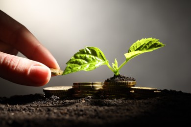 Photo of Money growth concept. Woman putting coins into soil with sprout, closeup