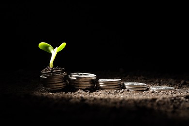 Photo of Money growth concept. Coins and sprout in soil against black background, closeup. Space for text