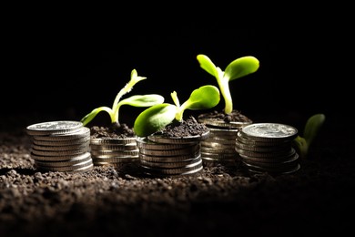 Photo of Money growth concept. Coins and sprouts in soil against black background, closeup