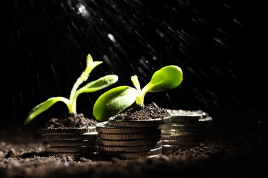 Photo of Money growth concept. Water dripping on coins and sprouts in soil against black background, closeup