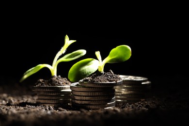 Photo of Money growth concept. Coins and sprouts in soil against black background, closeup