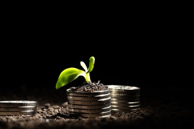 Photo of Money growth concept. Coins and sprout in soil against black background, closeup. Space for text