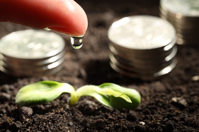 Photo of Money growth concept. Woman dripping water onto coins and sprout in soil, closeup