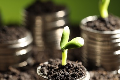 Photo of Money growth concept. Coins with young sprout in soil on green background, closeup