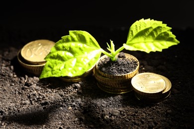 Photo of Money growth concept. Coins and sprout in soil against black background, closeup