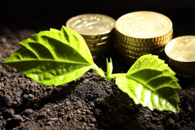 Photo of Money growth concept. Coins and sprout in soil against black background, closeup