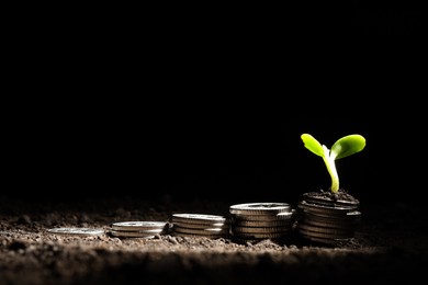 Photo of Money growth concept. Coins and sprout in soil against black background, closeup. Space for text