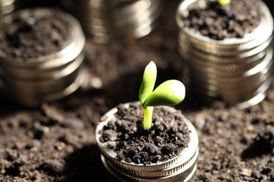 Photo of Money growth concept. Coins with young sprout in soil, closeup