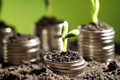 Photo of Money growth concept. Coins with young sprout in soil on green background, closeup