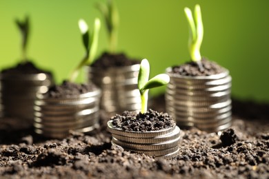 Photo of Money growth concept. Coins with young sprout in soil on green background, closeup