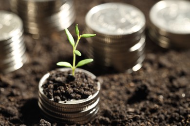 Photo of Money growth concept. Coins with young sprout in soil, closeup