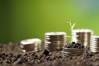 Photo of Money growth concept. Coins with young sprout in soil on green background, closeup. Space for text