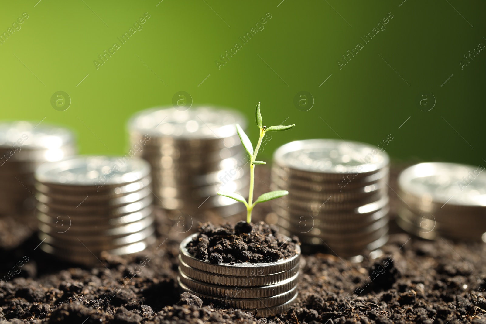 Photo of Money growth concept. Coins with young sprout in soil on green background, closeup