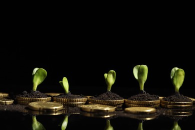 Photo of Money growth concept. Coins, sprouts and soil on black mirror surface, closeup. Space for text