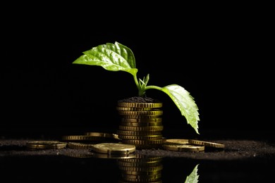 Photo of Money growth concept. Coins, sprout and soil on black mirror surface, closeup