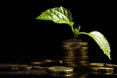 Photo of Money growth concept. Coins, sprout and soil on black mirror surface, closeup. Space for text