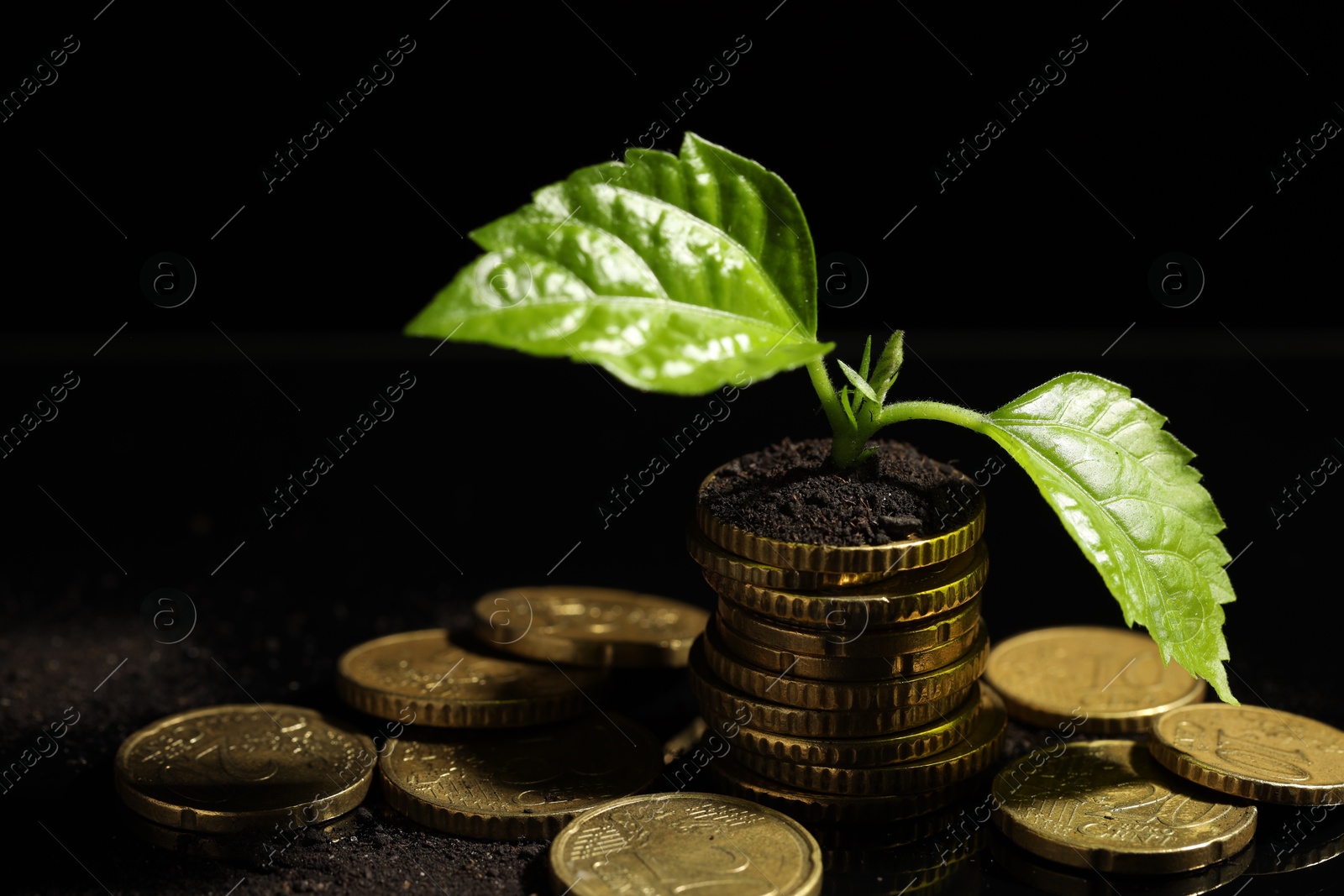 Photo of Money growth concept. Coins, sprout and soil on black mirror surface, closeup