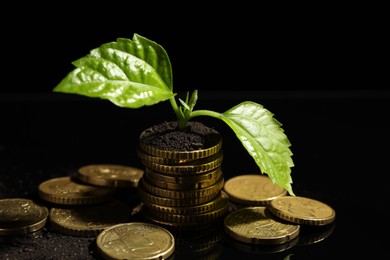 Photo of Money growth concept. Coins, sprout and soil on black mirror surface, closeup