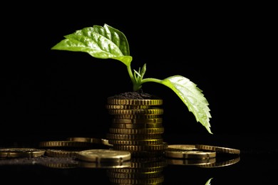 Photo of Money growth concept. Coins, sprout and soil on black mirror surface, closeup