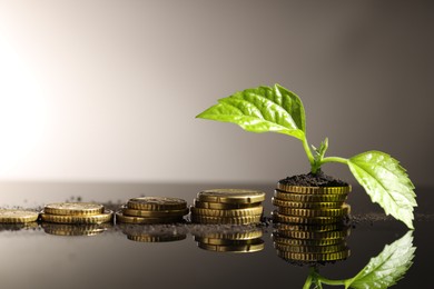 Photo of Money growth concept. Coins, sprout and soil on mirror surface. Space for text