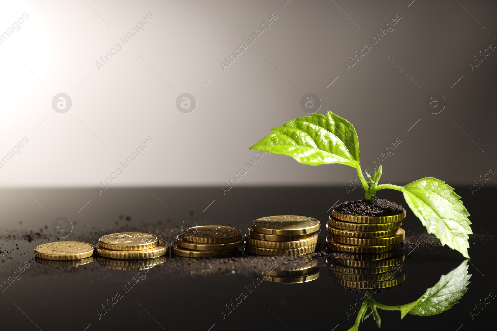 Photo of Money growth concept. Coins, sprout and soil on mirror surface. Space for text