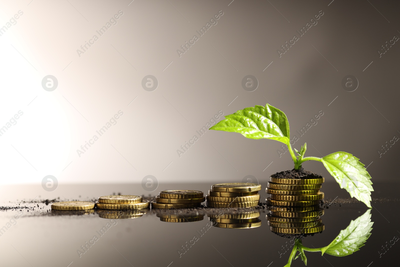 Photo of Money growth concept. Coins, sprout and soil on mirror surface. Space for text