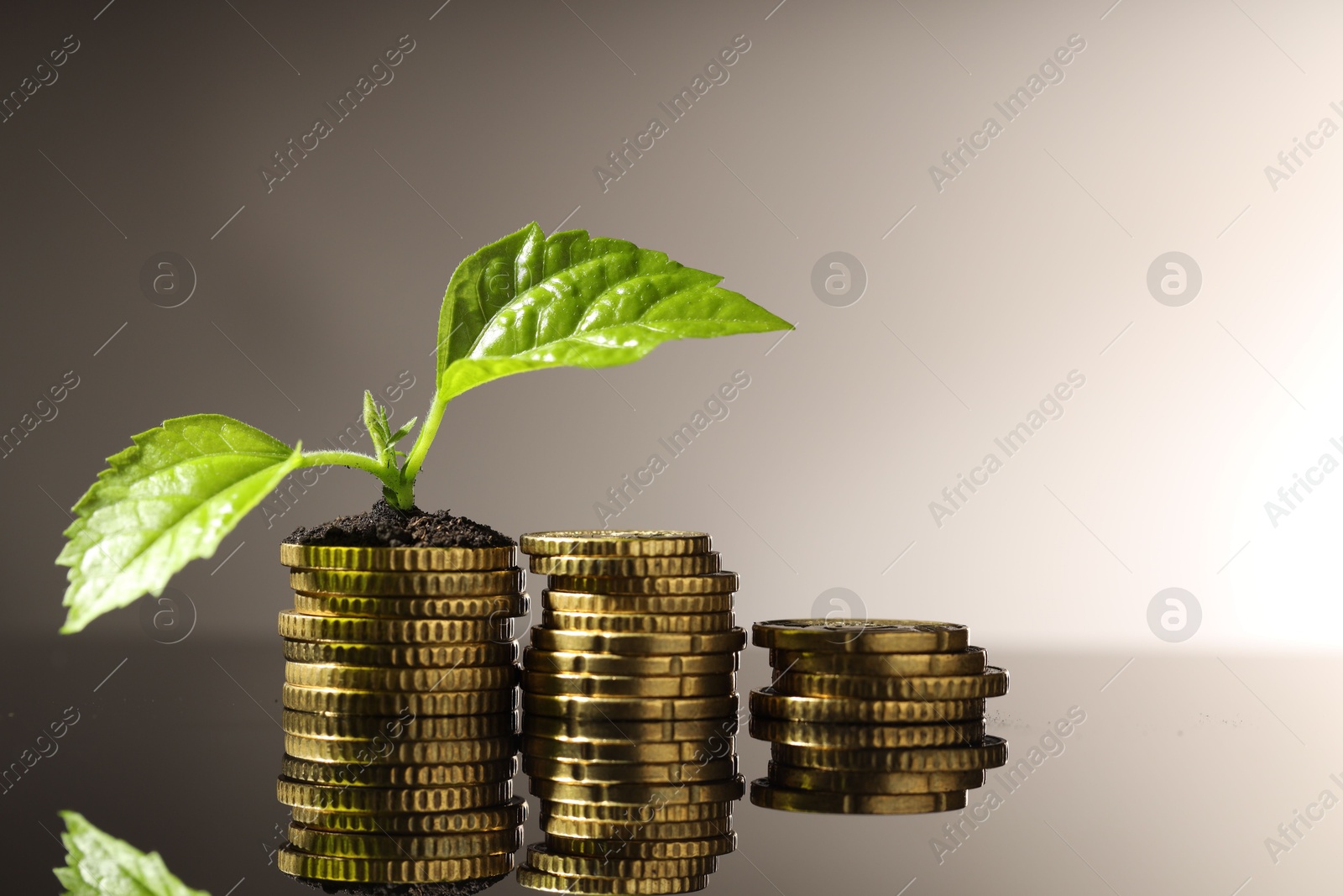 Photo of Money growth concept. Coins and sprout with soil on mirror surface. Space for text