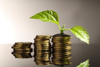 Photo of Money growth concept. Coins and sprout with soil on mirror surface