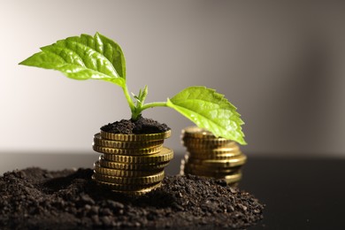 Photo of Money growth concept. Coins and sprout in soil against light grey background, closeup