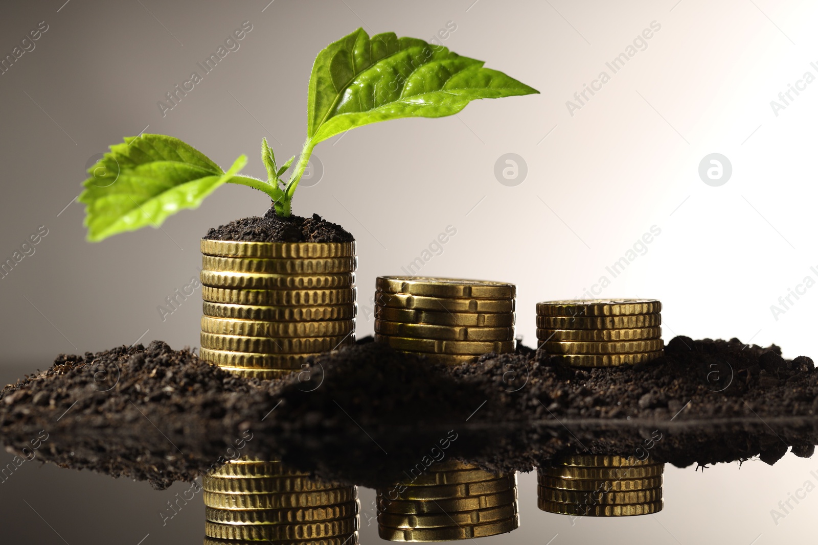 Photo of Money growth concept. Coins, sprout and soil on mirror surface. Space for text