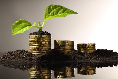 Photo of Money growth concept. Coins, sprout and soil on mirror surface. Space for text