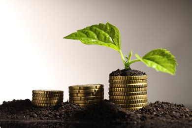 Photo of Money growth concept. Coins and sprout in soil against light grey background, closeup