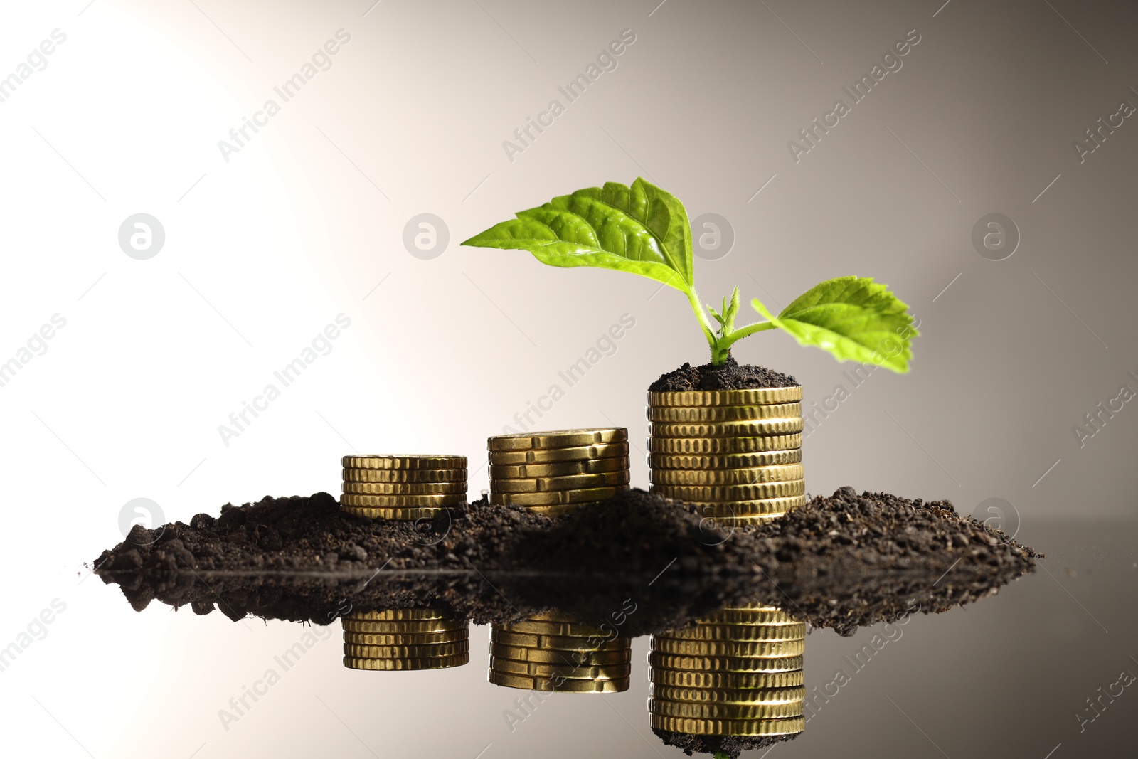 Photo of Money growth concept. Coins, sprout and soil on mirror surface. Space for text