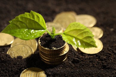 Photo of Money growth concept. Coins and sprout in soil, closeup