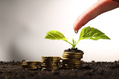 Money growth concept. Woman dripping water onto coins and sprout in soil, closeup. Space for text