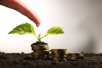 Photo of Money growth concept. Woman dripping water onto coins and sprout in soil, closeup. Space for text